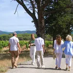 Wine Guide Provence