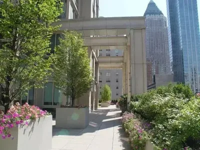 The Marc