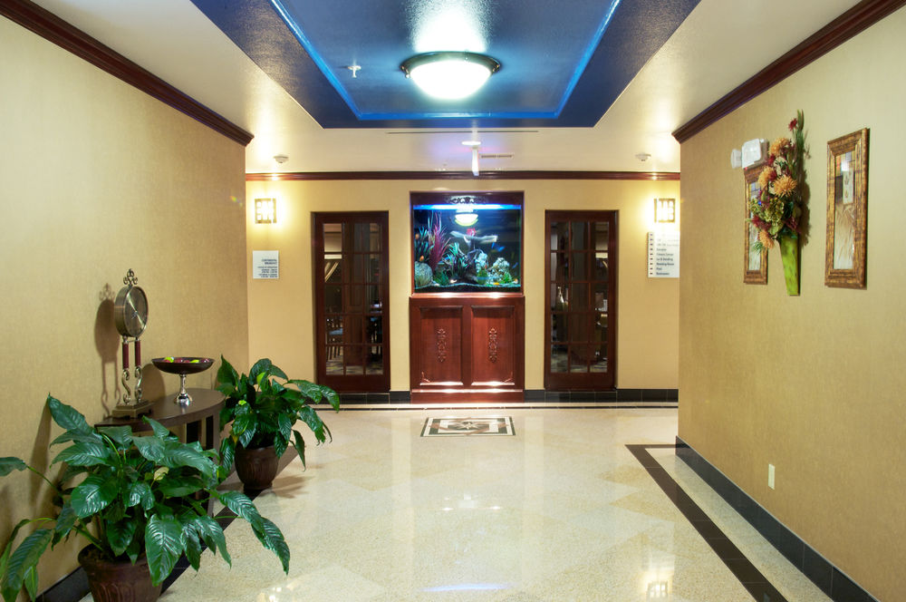 Holiday Inn Express & Suites Sealy by IHG