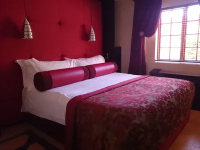Cycad Guest House
