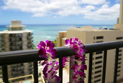 Waikiki Resort Hotel