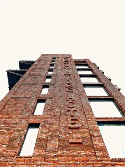 Arlo Williamsburg