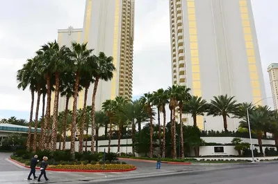 Signature Suites Collection