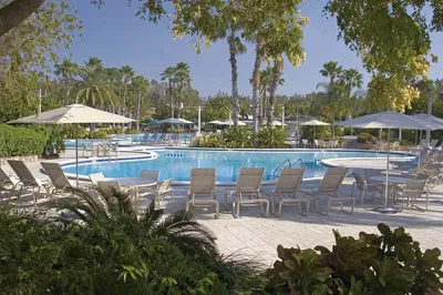 Saddlebrook Resort