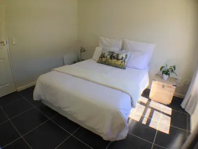The Rondebosch 517