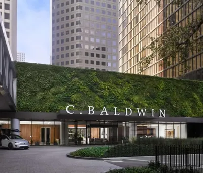 C. Baldwin, Curio Collection by Hilton