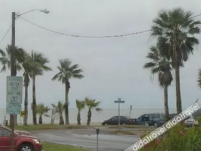 Regency Inn Motel by the Beach