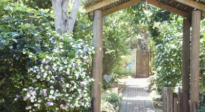 9 On Heron Bed  Breakfast