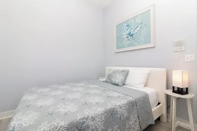 Dolphin Resort