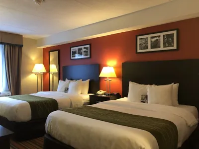 Comfort Hotel & Suites