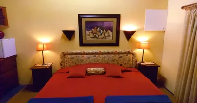 Granny Mouse House