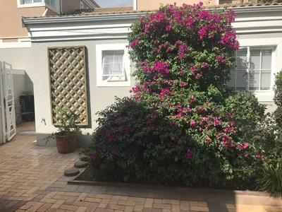 Paulshof Guesthouse